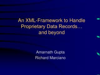 An XML-Framework to Handle Proprietary Data Records… and beyond