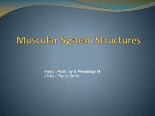 Muscular System Structures