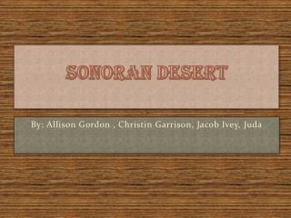 Sonoran desert