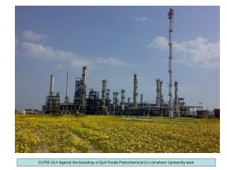 CUTIE OLY Against the backdrop of Gulf Farabi Petrochemical Co Ltd where I presently work