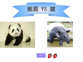 熊猫 VS 貘