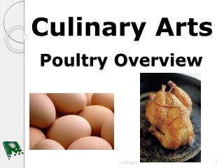Poultry Overview