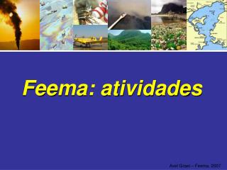 Feema: atividades