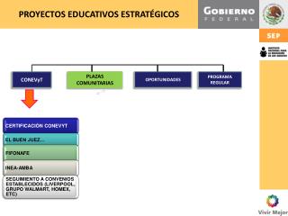 PROYECTOS EDUCATIVOS ESTRATÉGICOS