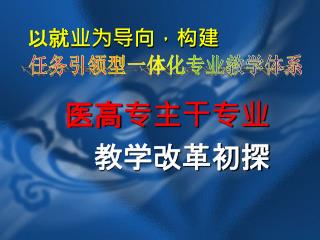 任务引领型一体化专业教学体系