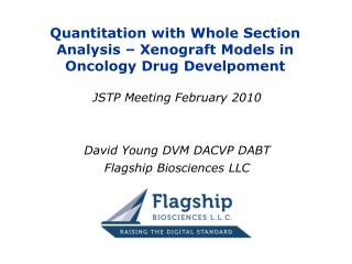 Quantitation with Whole Section Analysis – Xenograft Models in Oncology Drug Develpoment