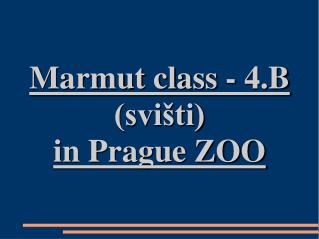 Marmut class - 4.B (svišti) in Prague ZOO