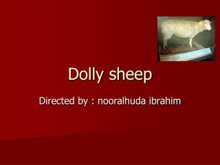 Dolly sheep