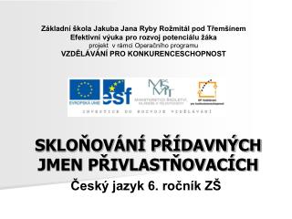 SKLOŇOVÁNÍ PŘÍDAVNÝCH JMEN PŘIVLASTŇOVACÍCH