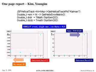 One page report – Kim, Youngim