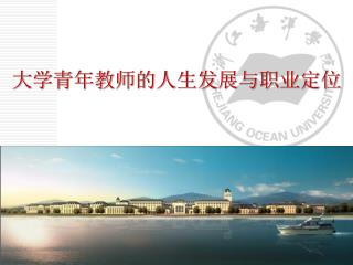 大学青年教师的人生发展与职业定位