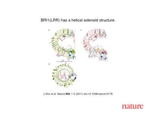 J She et al . Nature 000 , 1 - 5 (2011) doi:10.1038/nature10178