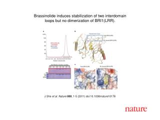 J She et al . Nature 000 , 1 - 5 (2011) doi:10.1038/nature10178