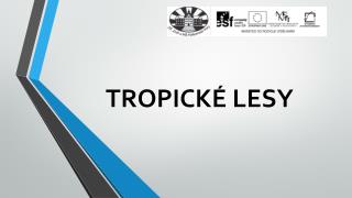 TROPICKÉ LESY