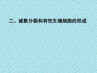 二、减数分裂和有性生殖细胞的形成