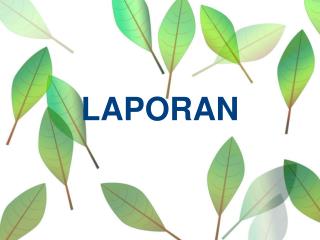 LAPORAN