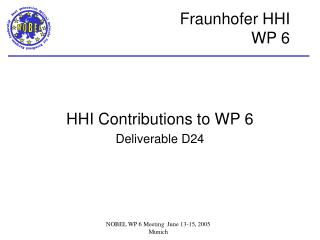 HHI Contributions to WP 6 Deliverable D24