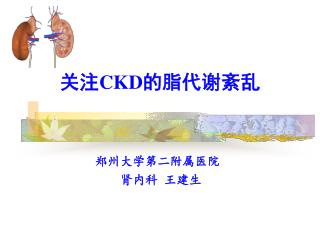 关注 CKD 的脂代谢紊乱