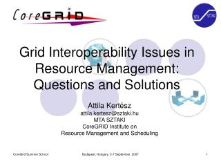 Grid Interoperability Issues in Resource Management: Questions and Solutions