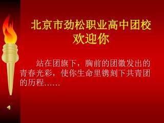 站在团旗下，胸前的团徽发出的青春光彩，使你生命里镌刻下共青团的历程 ……