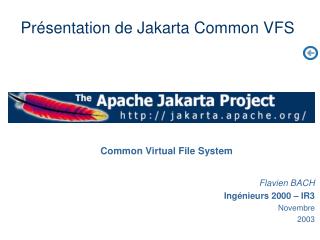 Common Virtual File System