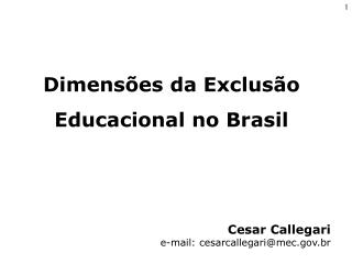 Cesar Callegari e-mail: cesarcallegari@mec.br