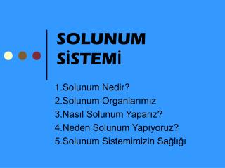 SOLUNUM S İ STEM İ