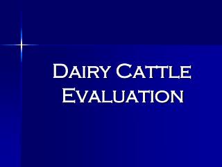Dairy Cattle Evaluation