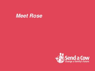 Meet Rose