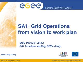 SA1: Grid Operations from vision to work plan