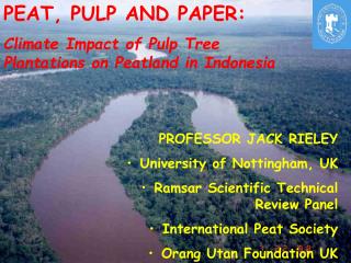 PEAT, PULP AND PAPER: Climate Impact of Pulp Tree Plantations on Peatland in Indonesia
