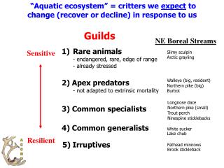 “Aquatic ecosystem” = critters we expect to change (recover or decline) in response to us