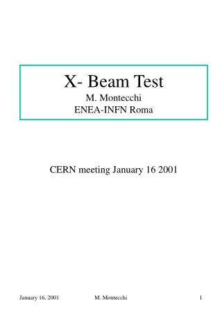X- Beam Test M. Montecchi ENEA-INFN Roma