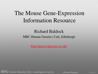 The Mouse Gene-Expression Information Resource