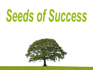 Seeds of Success