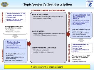 Topic/project/effort description