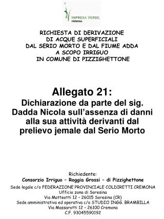 Allegato 21: