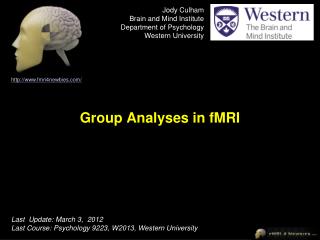 Group Analyses in fMRI
