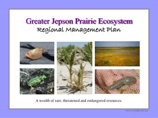 Greater Jepson Prairie Ecosystem Regional Management Plan