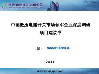 中国低压电器开关市场领军企业深度调研 项目建议书