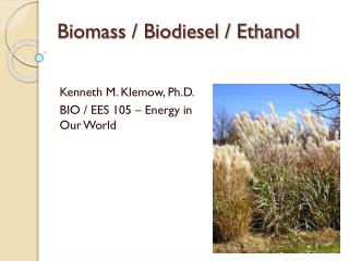 Biomass / Biodiesel / Ethanol