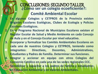 CONCLUSIONES: SEGUNDO TALLER