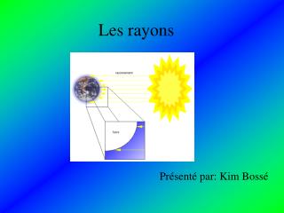 Les rayons