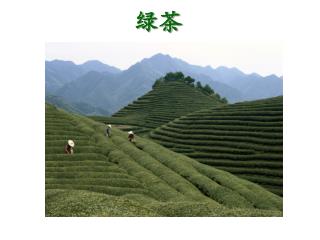 修身养性 ， 促进身心健康，延年益寿 —— 中国悠久的茶文化
