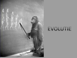 EVOLUTIE
