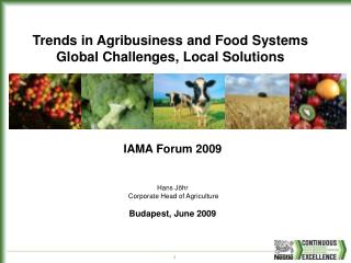 IAMA Forum 2009 Hans Jöhr Corporate Head of Agriculture Budapest, June 2009