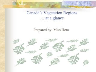 Canada’s Vegetation Regions … at a glance
