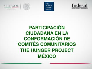 PARTICIPACIÓN CIUDADANA EN LA CONFORMACIÓN DE COMITÉS COMUNITARIOS THE HUNGER PROJECT MÉXICO