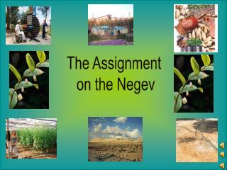 The Assignment on the Negev