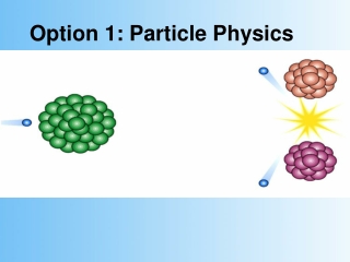 Option 1: Particle Physics